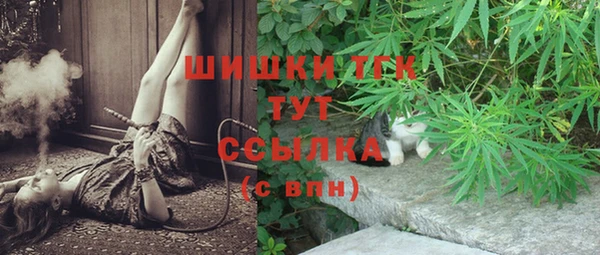 прущая мука Инсар