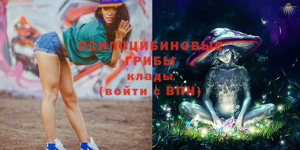 прущая мука Инсар