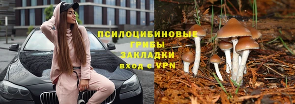 гидра Иннополис