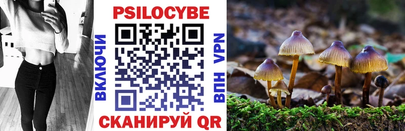 Галлюциногенные грибы GOLDEN TEACHER  Купить где  Починок 